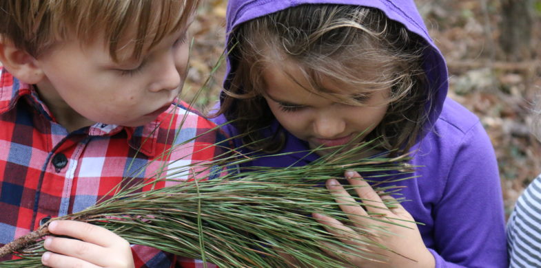 Early Education Center Nature Retreat at Ashley Hall
