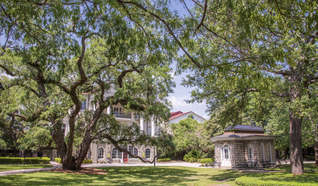 Elementary Program for Grades K4 Ashley Hall's Lower School