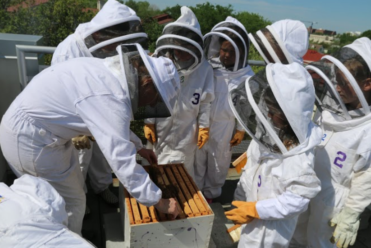 The Bee Club at Ashley Hall