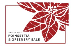2019 Ashley Hall Poinsettia and Greenery Sale | Charleston, South Carolina