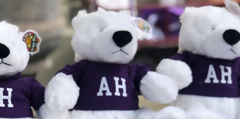 Ashley Hall Spirit Store | Charleston, SC