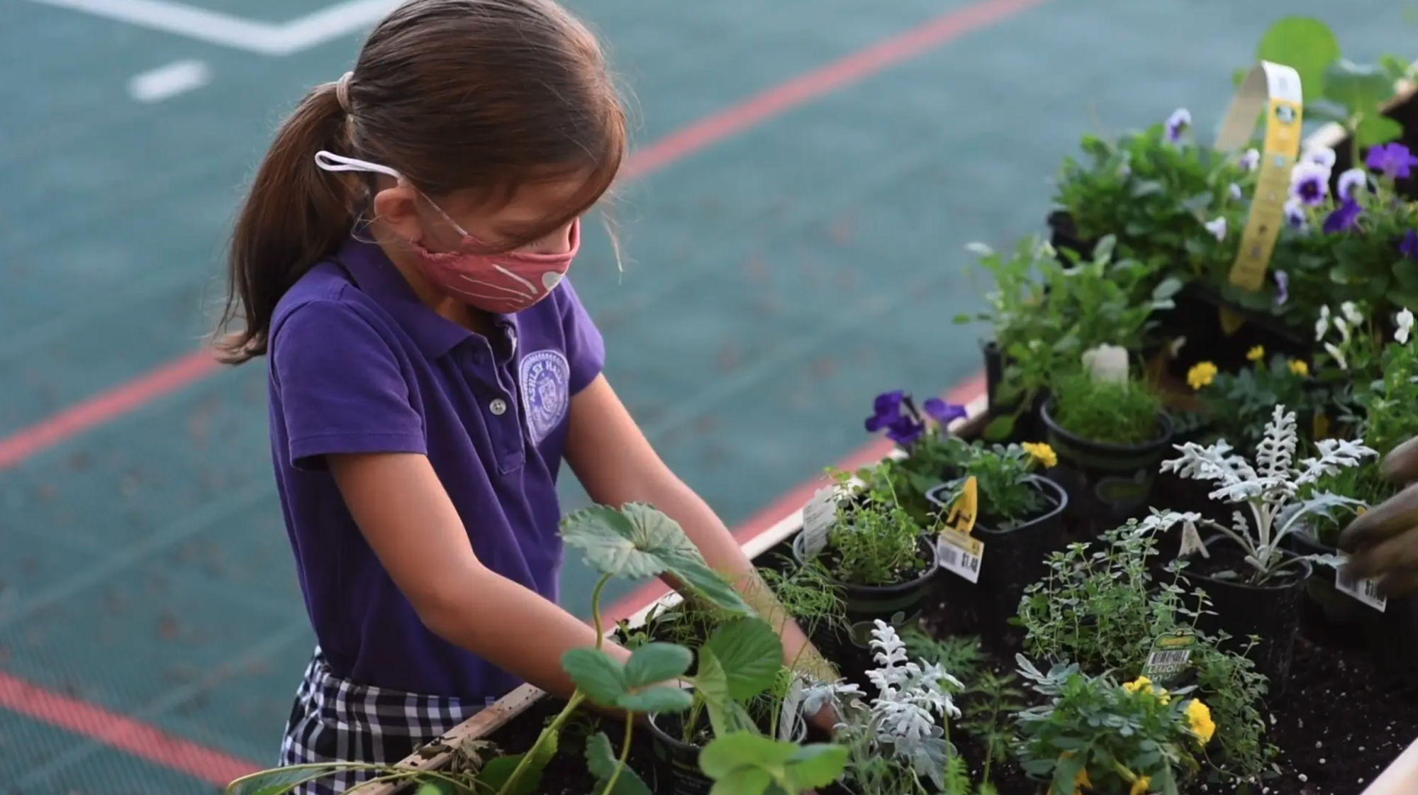 How Our Garden Grows | Ashley Hall School in Charleston, SC